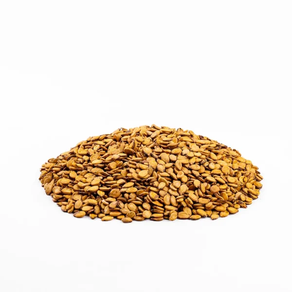 تخمه محبوبی